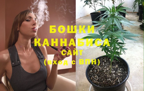 крисы Дмитриев