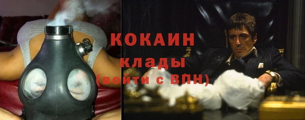 крисы Дмитриев