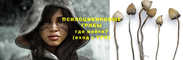 крисы Дмитриев