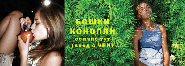 соль ск Грязовец