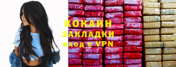крисы Дмитриев