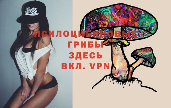 ALPHA PVP Дмитровск