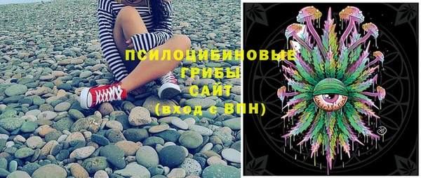 крисы Дмитриев