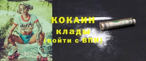 крисы Дмитриев