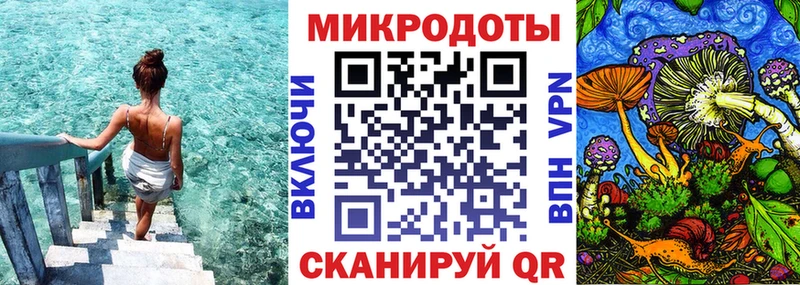 Галлюциногенные грибы Psilocybine cubensis  Заволжье 