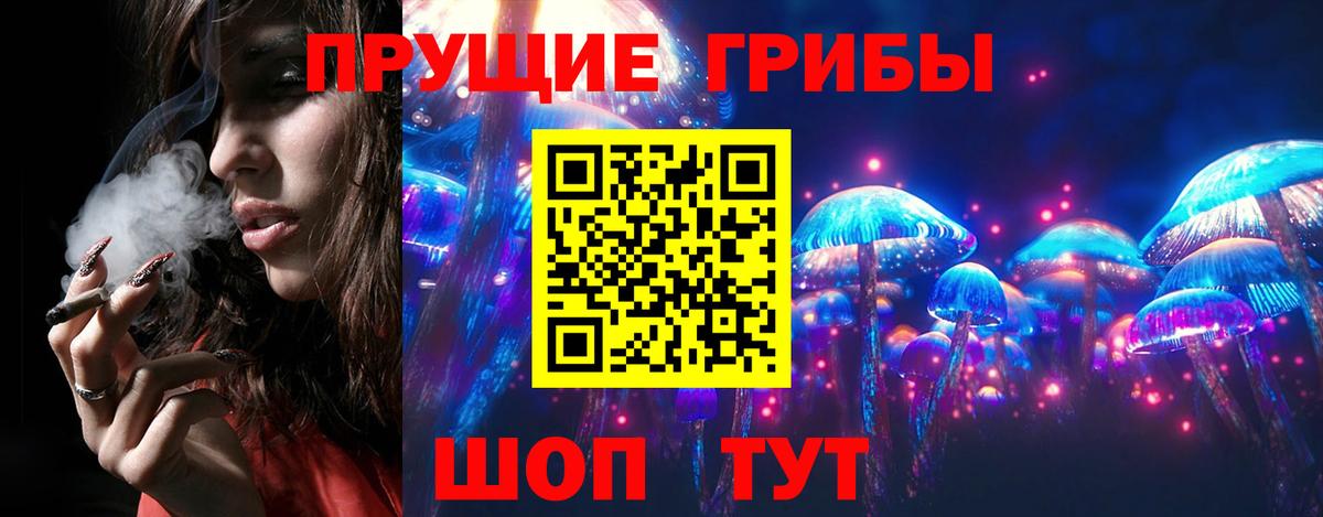 Псилоцибиновые грибы мицелий Заволжье