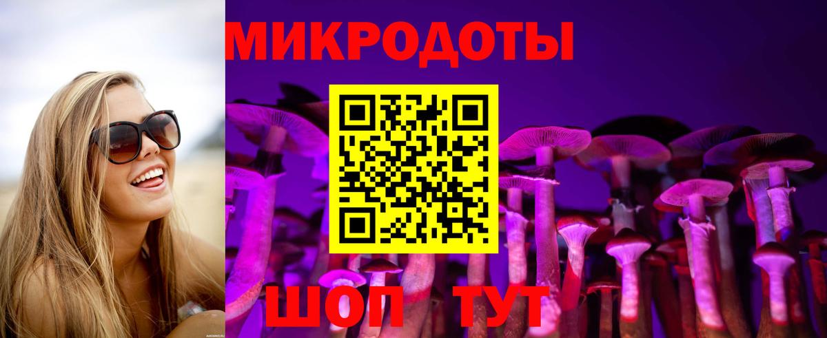 Псилоцибиновые грибы Cubensis  Вход с VPN  Галлюциногенные грибы ЛСД  Заволжье 