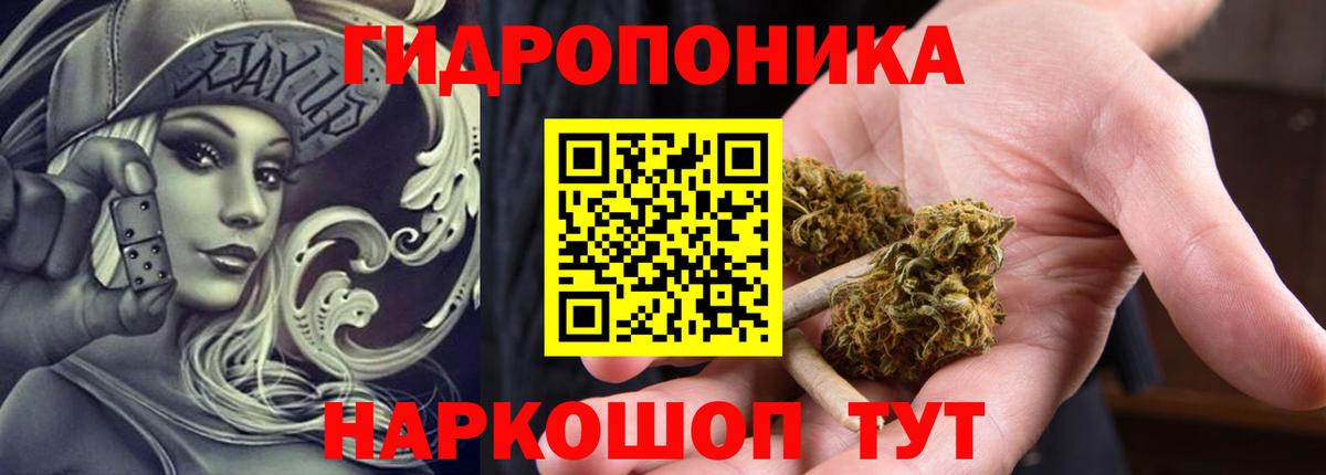 Заволжье  Канабис White Widow  Вход с VPN  Каннабис ГИДРОПОН  Каннабис конопля 